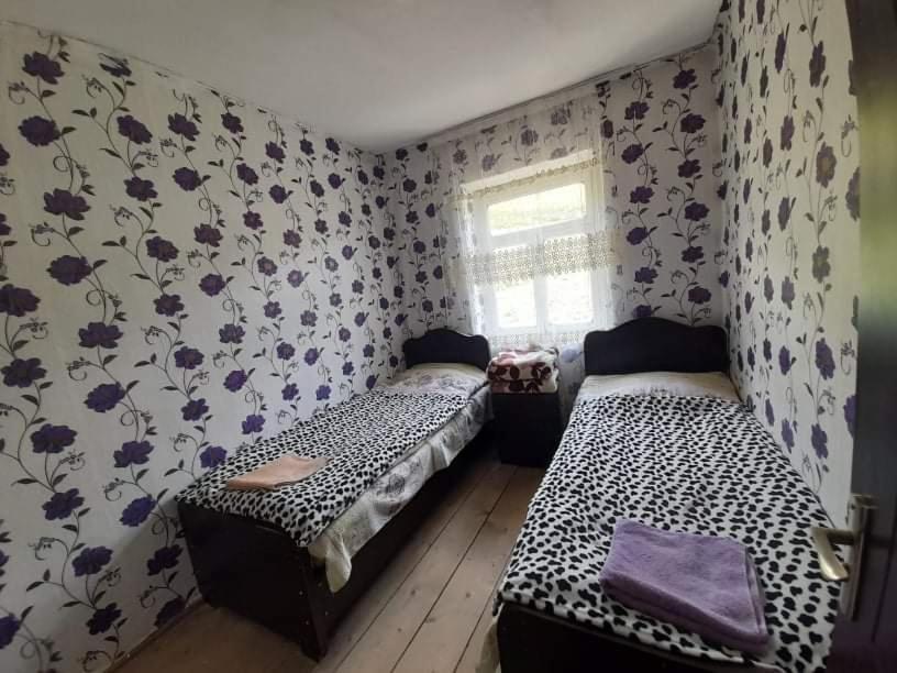 Guesthouse Lika Ushguli Εξωτερικό φωτογραφία