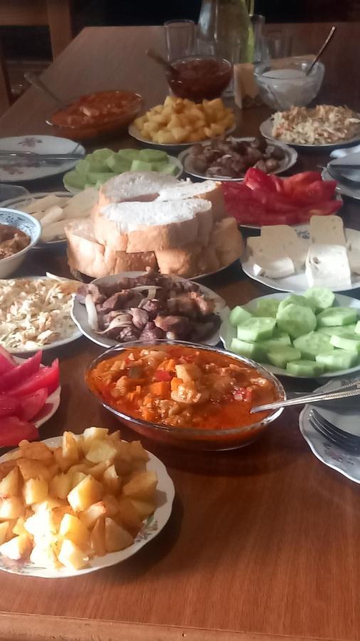 Guesthouse Lika Ushguli Εξωτερικό φωτογραφία